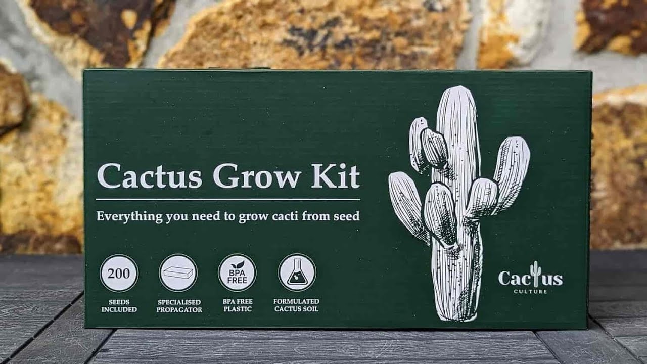 How to setup your Cactus Grow Kit from Cactus Culture Australia