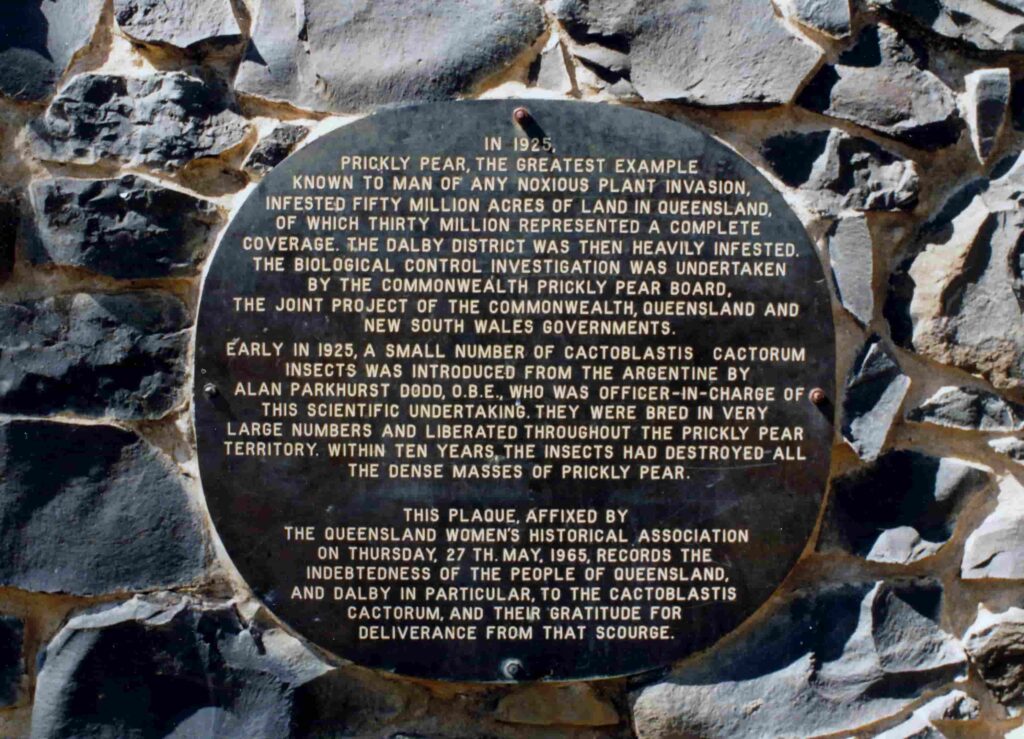 Monument to the Cactoblastis moth in Dalby.