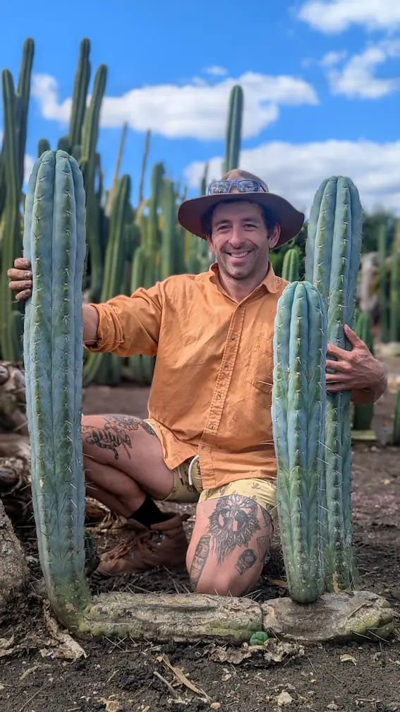 A man standing with his arm around 3 cacti