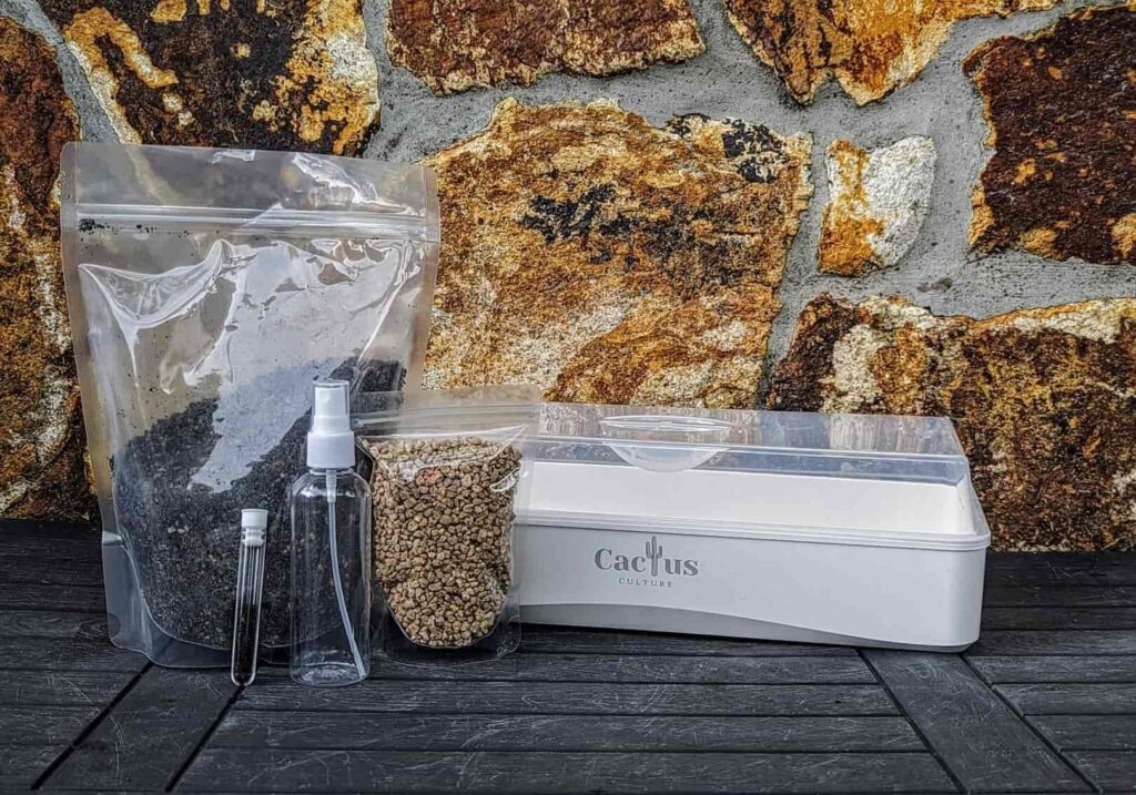 The contents of the Cactus Grow Kit