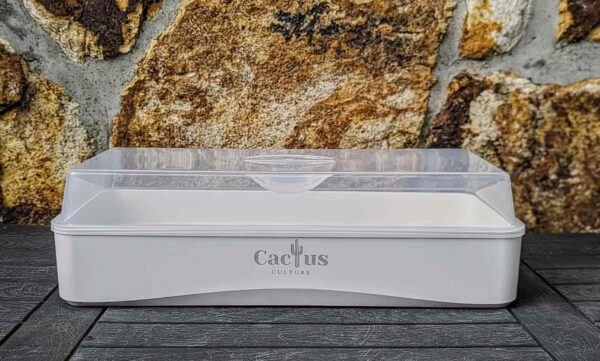 A cactus seed growing propagation unit