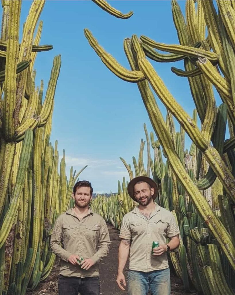 Tim and Billy standing in a field of cacti