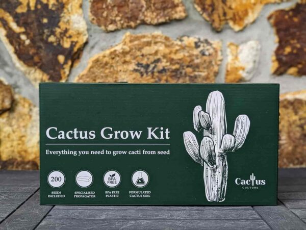 A cactus seed growing kit box