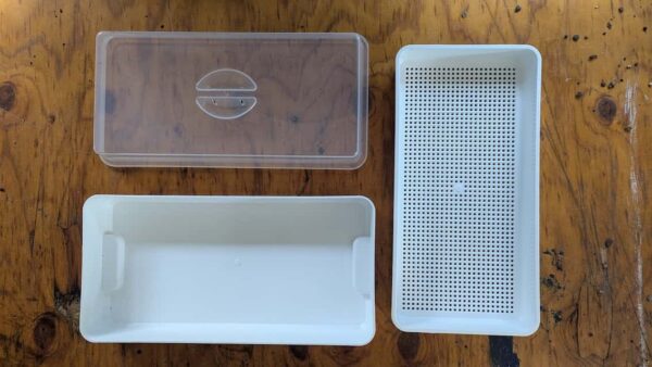 A cactus seed propagation unit