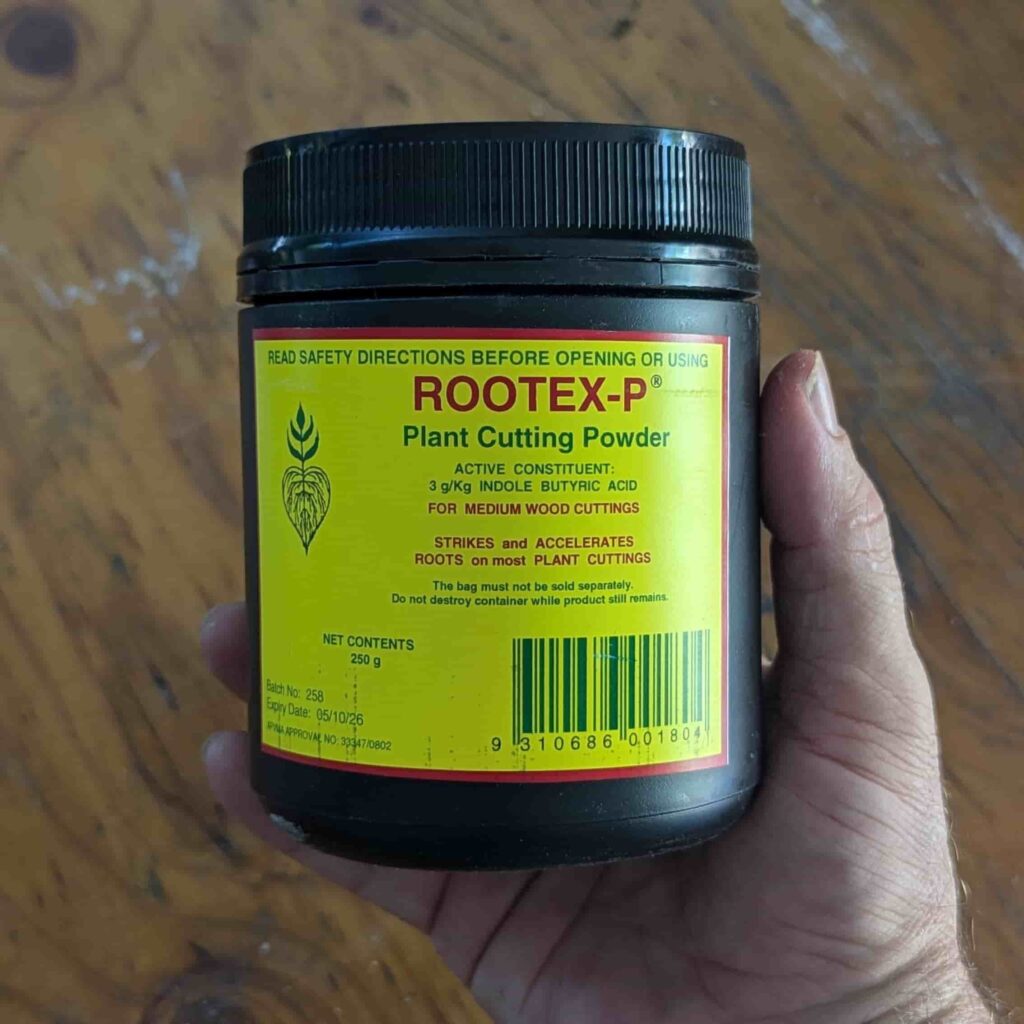 A hand holding a 250gram container of Rootex-p plant cutting powder