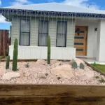 A cactus garden in a raised timber planter